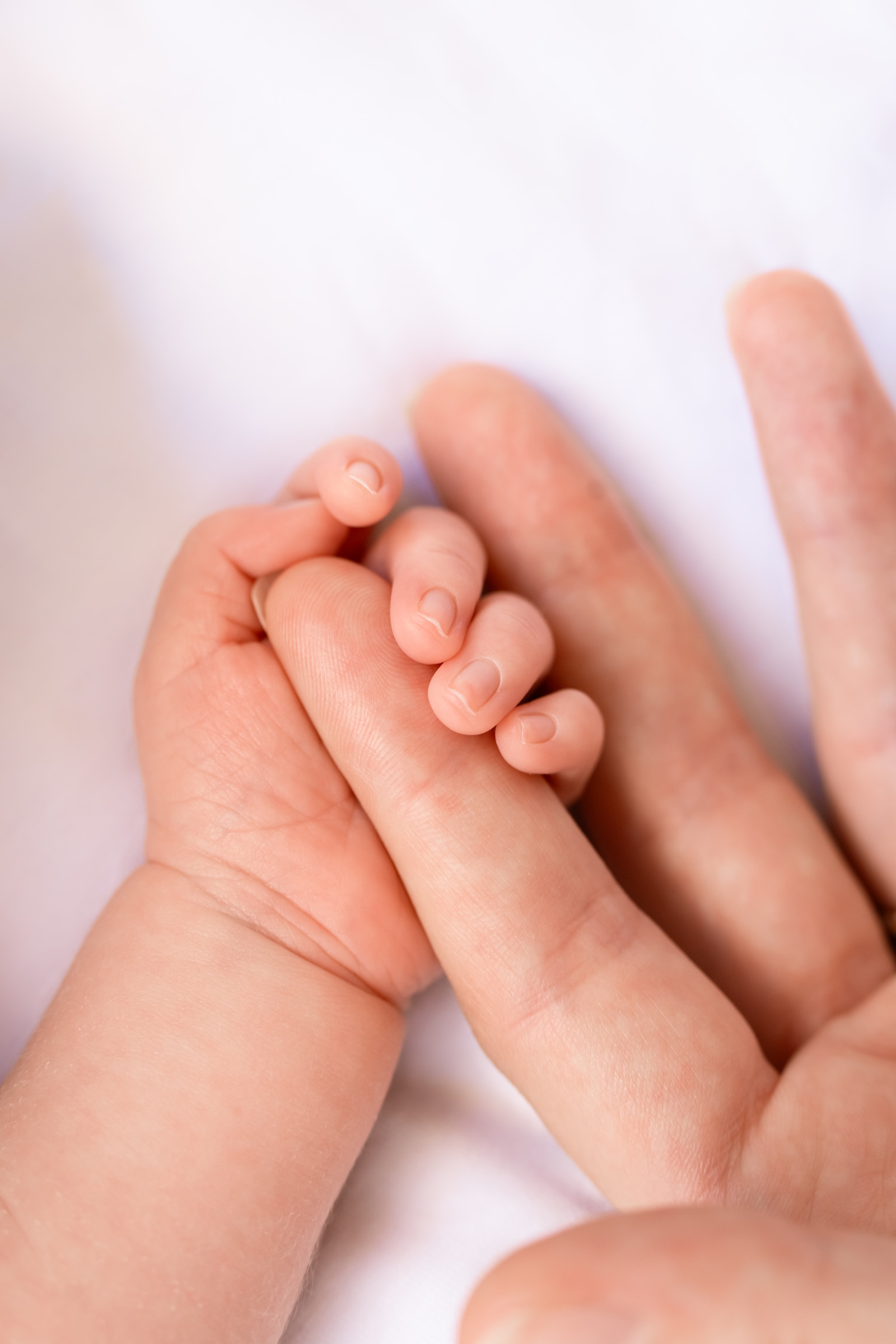 Les pieds d’un nouveau-né dans les mains d’un adulte